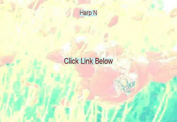 Harp N’ Guitar Review - harp necklace