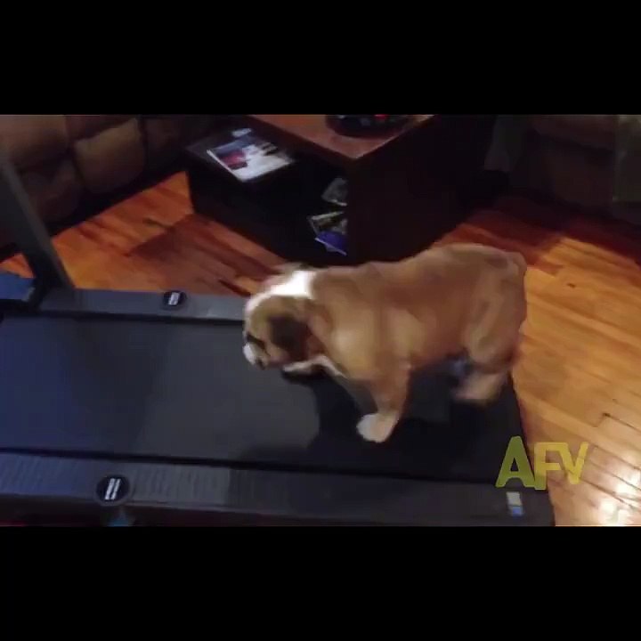 He made my day