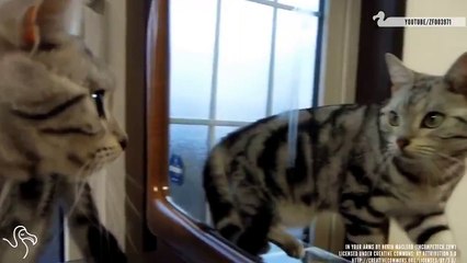 ''I'm so Pretty! Oh, so pretty!''