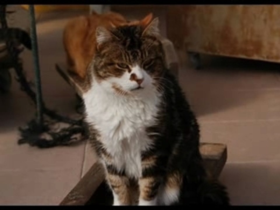 Justine, Angy et Pim's zézette du refuge de Beauregard