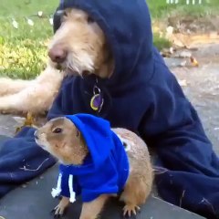 When you can't be any less sexy