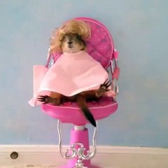 When you just got your haircut and you feel flawless