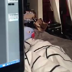 Why I can't get anything done