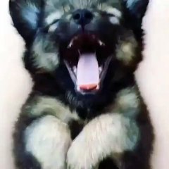 Your daily dose of cuteness