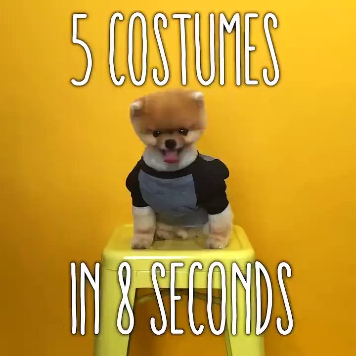 5 Halloween costumes in 8 seconds
