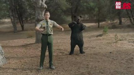 Slow Clap - CarMax Super bowl 2014