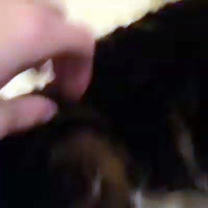 Awwww