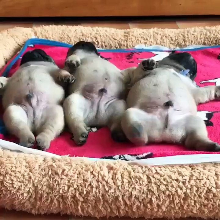 Me after leg day