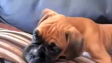 When you just don't understand