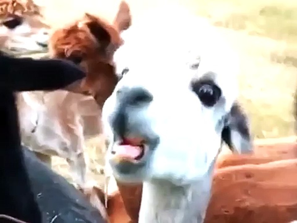 When you're hungry but your food is too hot (2)