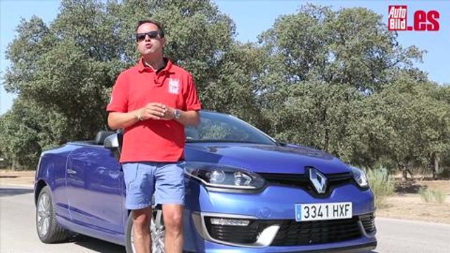 conclusion - RENAULT MEGANE CC 2014