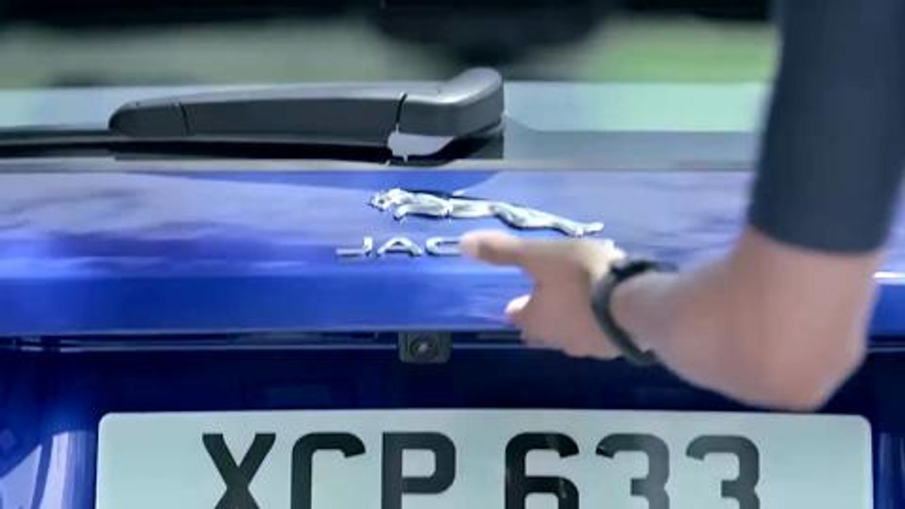Jaguar activity key