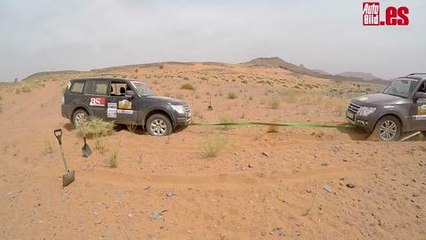 Viaje Vicente 2da parte