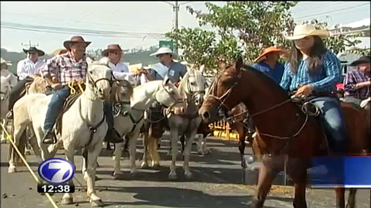 tn7-detenciones-palmares-150115