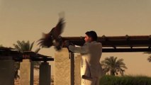 Dubai desde el ojo de un águila- Detrás de las cámaras