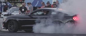 Resumen del SEMA para Ford