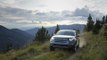LAND ROVER Discovery: capacidades off road