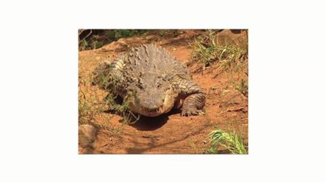 La tracción total simétrica (AWD) mejora la seguridad Episodio 2