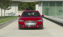 VÍDEO: Así es el nuevo Audi A4 Avant