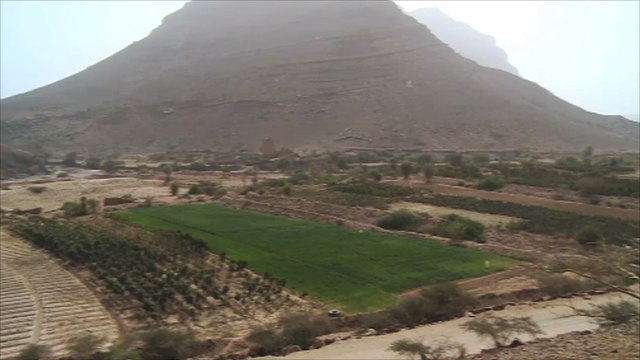 قوات الشرعية اليمنية تسيطر على أجزاء من جبل وتران