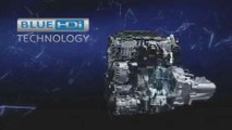 Motores Peugeot BlueHDi