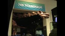Dinossauro de 100 milhões de anos dá as caras em Nova York