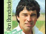 Ron Brandsteder Engelen Bestaan Niet (Opening Credits Met Bumper, Opening Lied Van De TV Show Ron's Honeymoon Quiz In Nederland Vanaf 187 Tot 1996 (Single Version, Radio Edit.)