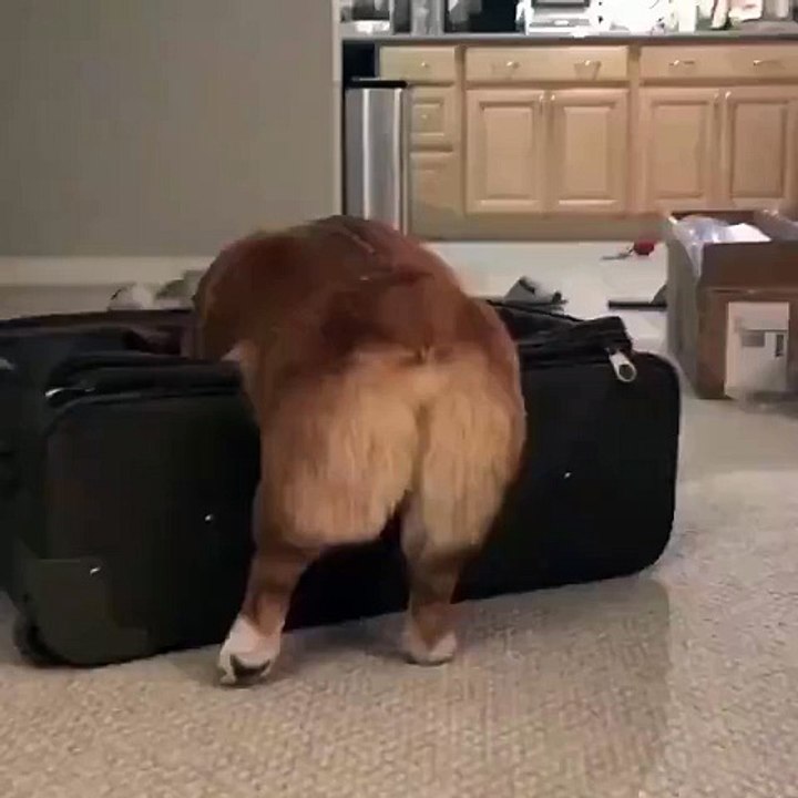 Nice butt