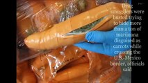 Drug smugglers busted after more than a ton of drugs disguised as CARROTS (FULL HD)