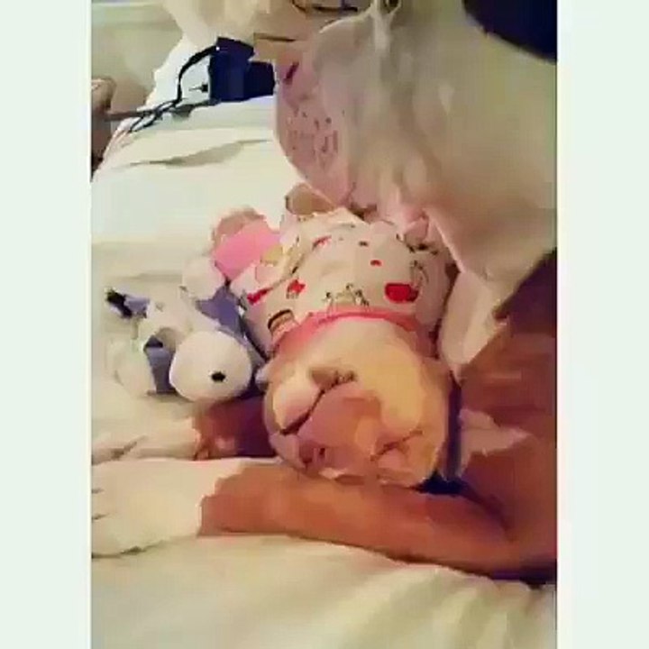 Zzzzzz