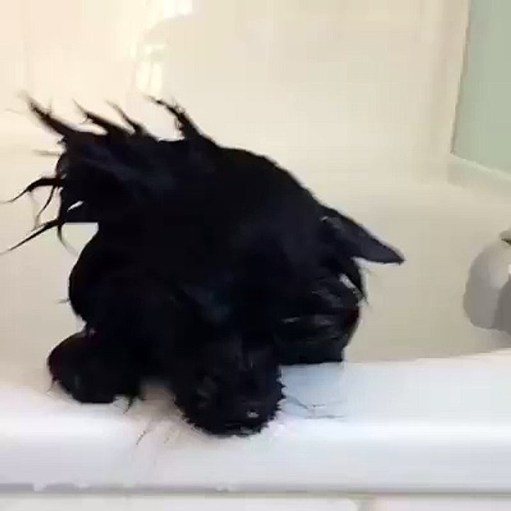 After shower