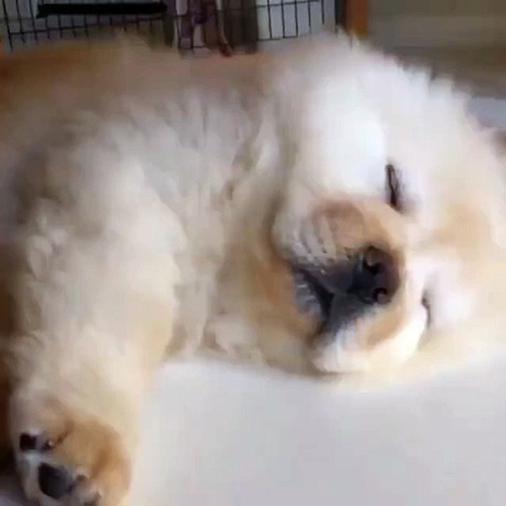 Me every morning
