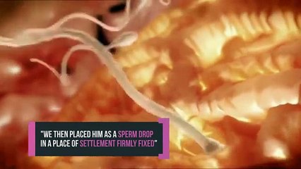 Embryology In The Quran