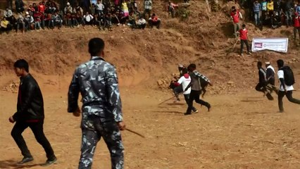 Népal: combats de taureaux pour marquer la fin de l'hiver