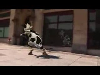 Crazy Cow