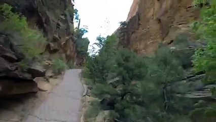 Running overtop of the  Pacific Crest Trail High_Quality