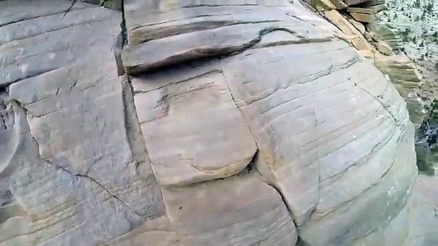 Touring into the Caribou Tracks National Park 1080P