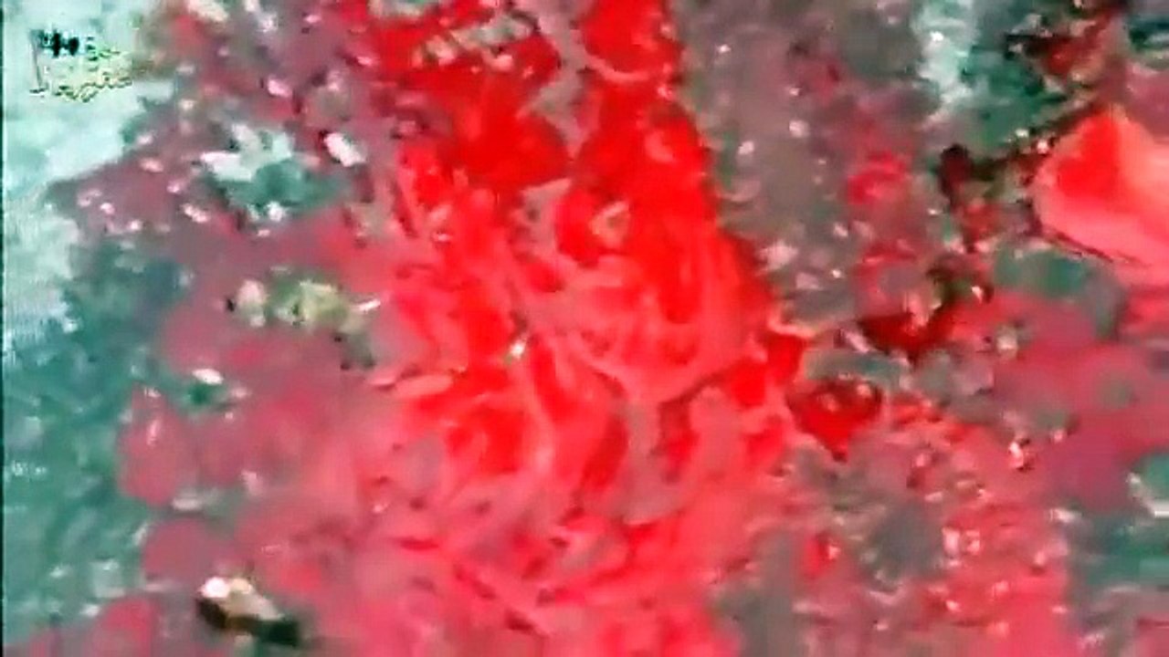 Сирия. Бармалеи недовольны после авиаудара русской авиации / Syria. after airstrike aviation