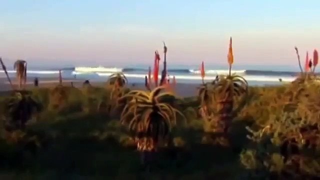 GREAT WHITE SHARK ATTACKS Caught On Tape - National Geographic -