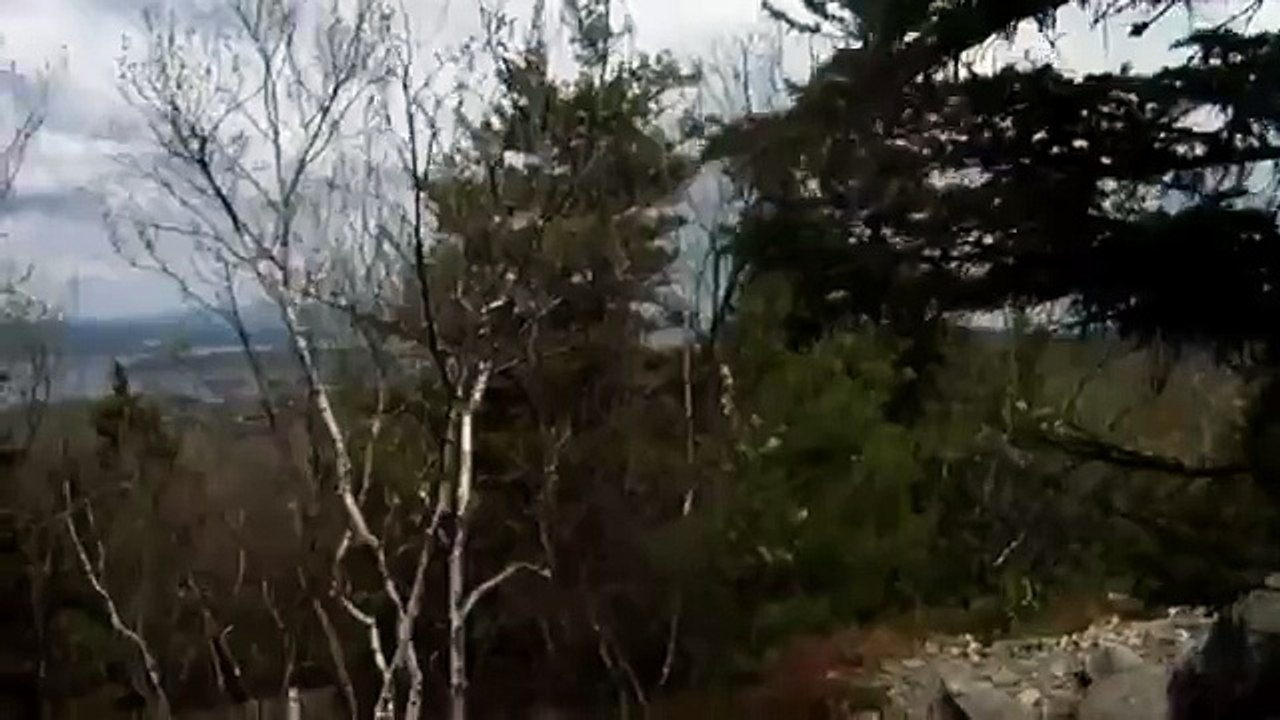 Driving the Jeep Wrangler 2010 into a swamp High_Quality