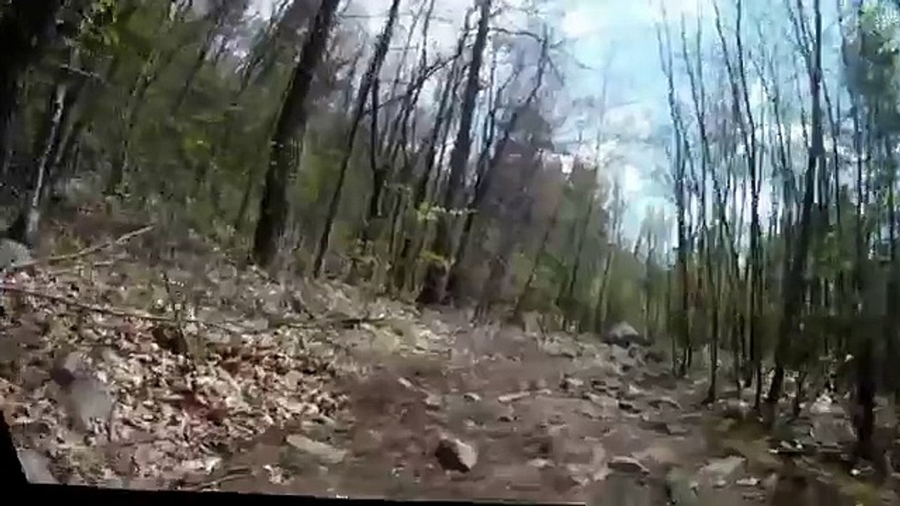 Driving the Land Cruiser Limited Edition on the imogene pass High_Quality