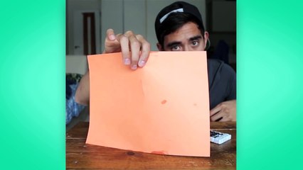 Colorful Goldfish Vine