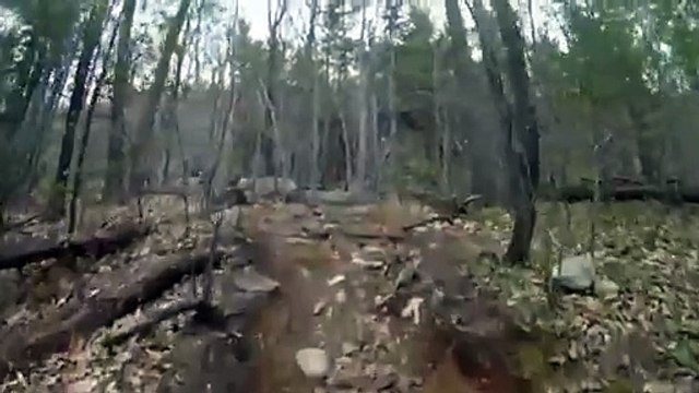 Mudding onto Jeep CJ-7 into a swamp High_Quality