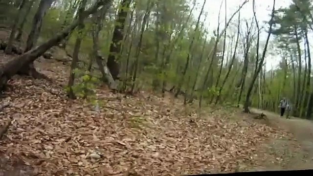 Mudding the Power Wagon Dodge on the imogene pass 2015