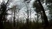 Offroading through Jeep CJ-7 in silver Lake Dunes Michigan USA [HQ]