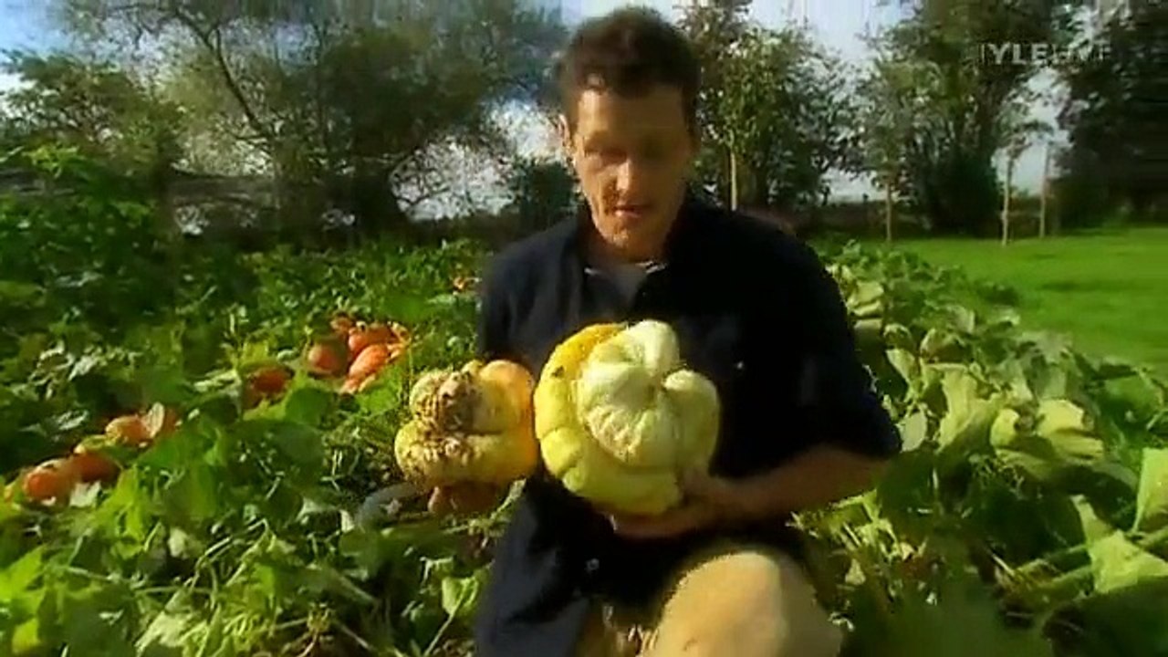squash