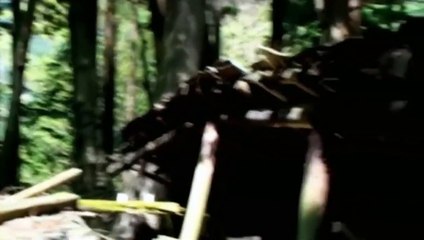 心霊動画「最恐心霊映像・心霊現象・PART17」呪い最新HDD スーパー