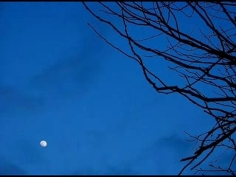 Cheikh Al Madkhaly - Conseil aux gens de la sounnah