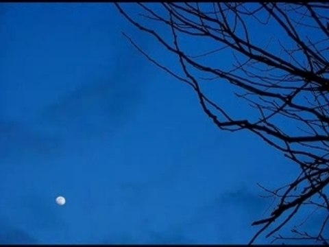 Cheikh Al Madkhaly - Conseil aux gens de la sounnah