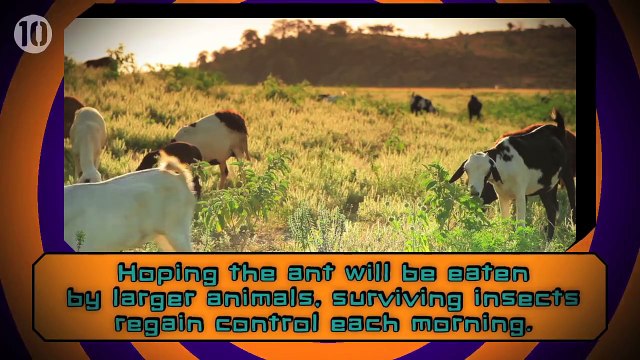 10 Real-Life Examples Of Mind Control